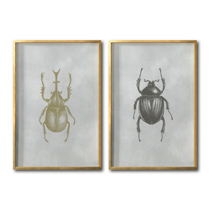 Compra de cuadros decorativos  insectos para tu sala en Ciudad de México. Galería 314. Escarabajos.