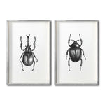 Cargar imagen en el visor de la galería, Set 2 Cuadros Decorativos Insectos 002 Escarabajos
