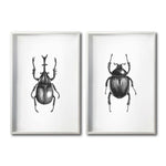 Cargar imagen en el visor de la galería, Set 2 Cuadros Decorativos Insectos 002 Escarabajos
