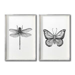 Cargar imagen en el visor de la galería, Set 2 Cuadros Decorativos Insectos 004 Libélula - Mariposa
