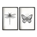 Cargar imagen en el visor de la galería, Set 2 Cuadros Decorativos Insectos 004 Libélula - Mariposa
