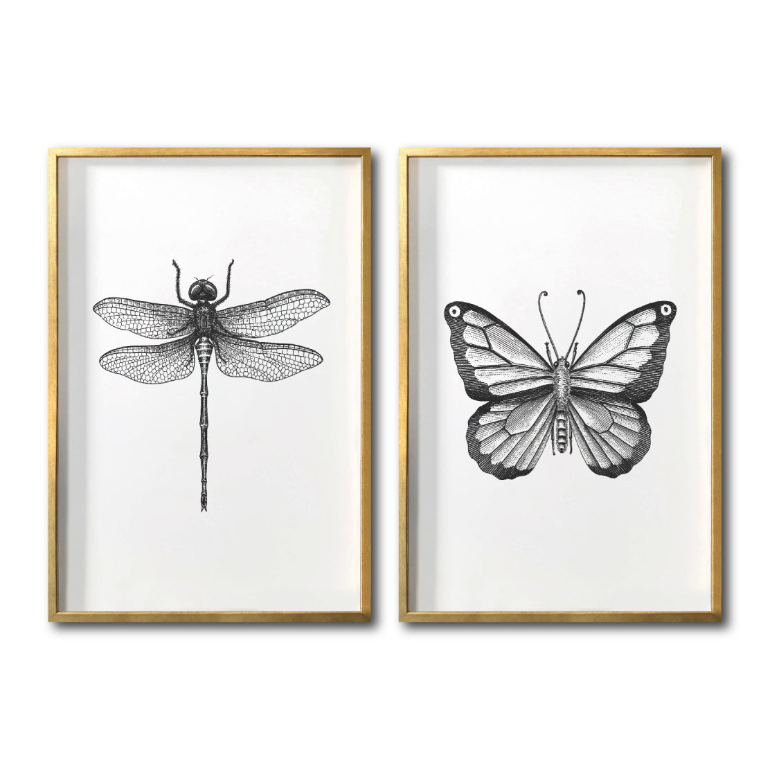 Compra cuadros online de Insectos para sala. Galería 314.