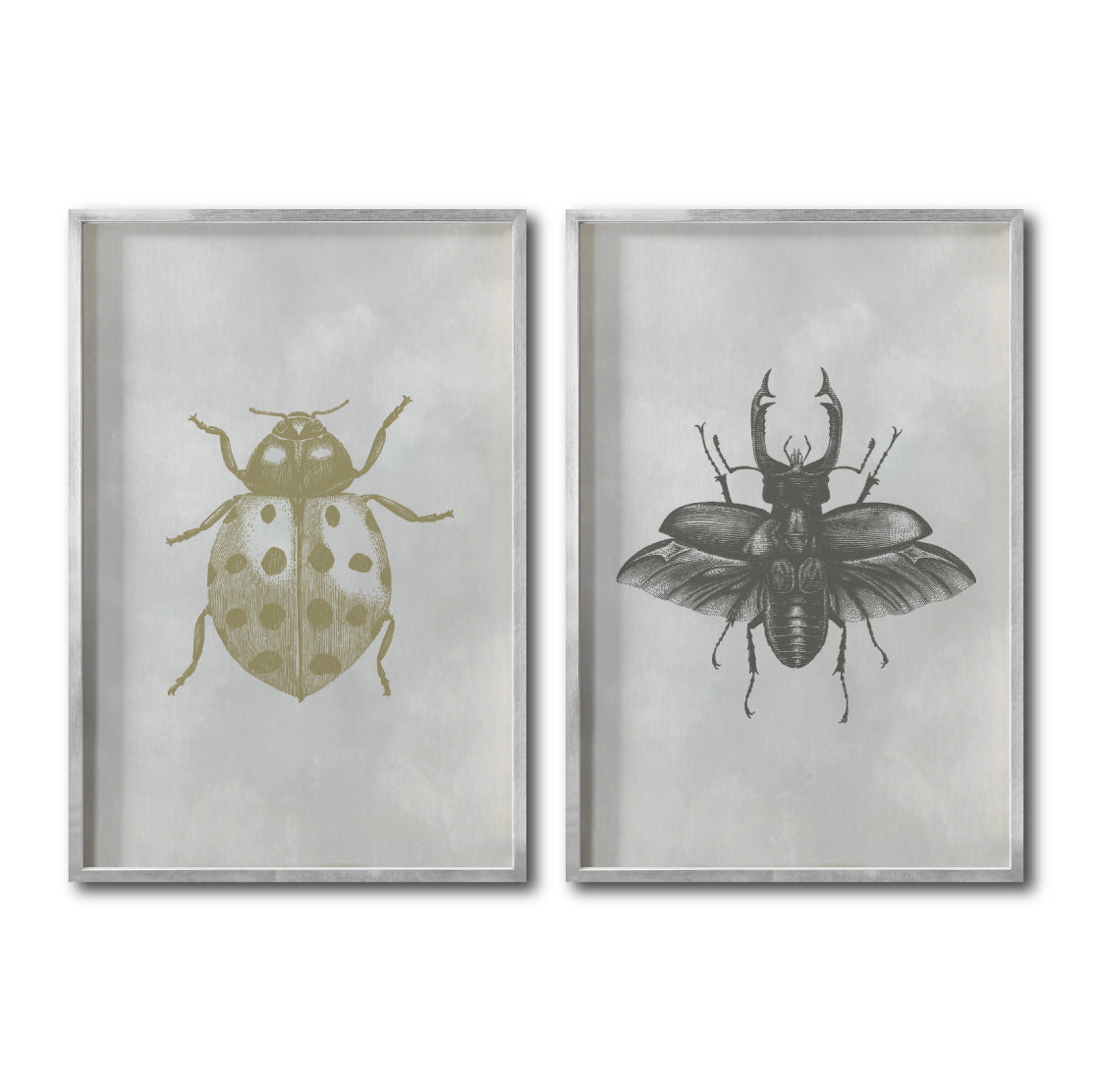 Set 2 Cuadros Decorativos Insectos 005 Catarina - Escarabajo