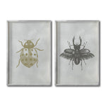 Cargar imagen en el visor de la galería, Set 2 Cuadros Decorativos Insectos 005 Catarina - Escarabajo
