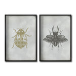 Cargar imagen en el visor de la galería, Set 2 Cuadros Decorativos Insectos 005 Catarina - Escarabajo
