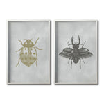 Cargar imagen en el visor de la galería, Set 2 Cuadros Decorativos Insectos 005 Catarina - Escarabajo
