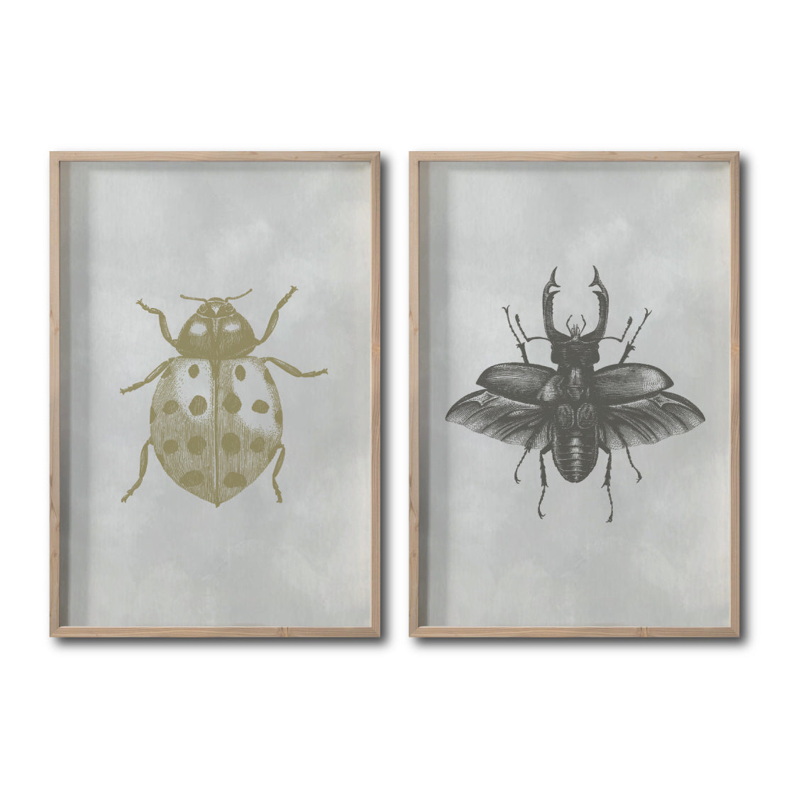 Set 2 Cuadros Decorativos Insectos 005 Catarina - Escarabajo