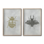 Cargar imagen en el visor de la galería, Set 2 Cuadros Decorativos Insectos 005 Catarina - Escarabajo
