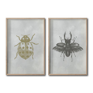 Set 2 Cuadros Decorativos Insectos 005 Catarina - Escarabajo