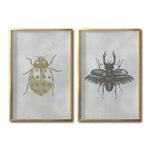 Cargar imagen en el visor de la galería, Cuadros decorativos fauna insectos modernos para sala. Galería 314. Catarina.
