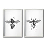 Cargar imagen en el visor de la galería, Set 2 Cuadros Decorativos Insectos 008 Abeja - Avispa
