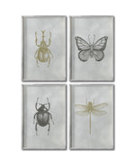 Cargar imagen en el visor de la galería, Set 4 Cuadros Decorativos Insectos 009 - Escarabajos, Mariposa, Libélula
