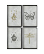 Cargar imagen en el visor de la galería, Set 4 Cuadros Decorativos Insectos 009 - Escarabajos, Mariposa, Libélula
