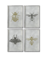 Cargar imagen en el visor de la galería, Set 4 Cuadros Decorativos Insectos 010 - Catarina, Escarabajo, Abeja, Avispa
