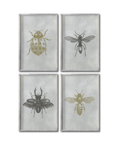 Set 4 Cuadros Decorativos Insectos 010 - Catarina, Escarabajo, Abeja, Avispa