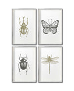 Cargar imagen en el visor de la galería, Set 4 Cuadros Decorativos Insectos 011 - Escarabajos, Mariposa, Libélula
