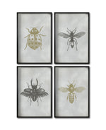 Cargar imagen en el visor de la galería, Set 4 Cuadros Decorativos Insectos 010 - Catarina, Escarabajo, Abeja, Avispa
