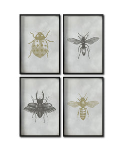 Set 4 Cuadros Decorativos Insectos 010 - Catarina, Escarabajo, Abeja, Avispa