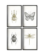 Cargar imagen en el visor de la galería, Set 4 Cuadros Decorativos Insectos 011 - Escarabajos, Mariposa, Libélula
