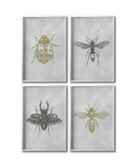 Cargar imagen en el visor de la galería, Set 4 Cuadros Decorativos Insectos 010 - Catarina, Escarabajo, Abeja, Avispa
