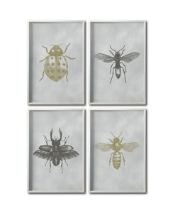 Set 4 Cuadros Decorativos Insectos 010 - Catarina, Escarabajo, Abeja, Avispa