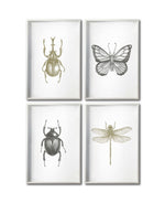 Cargar imagen en el visor de la galería, Set 4 Cuadros Decorativos Insectos 011 - Escarabajos, Mariposa, Libélula
