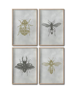 Cargar imagen en el visor de la galería, Set 4 Cuadros Decorativos Insectos 010 - Catarina, Escarabajo, Abeja, Avispa
