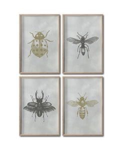 Set 4 Cuadros Decorativos Insectos 010 - Catarina, Escarabajo, Abeja, Avispa