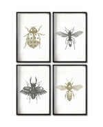 Cargar imagen en el visor de la galería, Set 4 Cuadros Decorativos Insectos 012 - Catarina, Escarabajo, Abeja, Avispa
