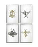 Cargar imagen en el visor de la galería, Set 4 Cuadros Decorativos Insectos 012 - Catarina, Escarabajo, Abeja, Avispa
