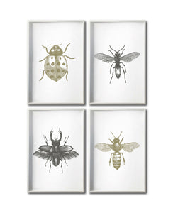 Set 4 Cuadros Decorativos Insectos 012 - Catarina, Escarabajo, Abeja, Avispa