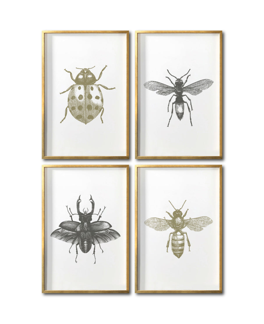 Compra de cuadros decorativos  insectos para tu sala en Ciudad de México. Galería 314. Avispa.