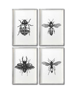 Cargar imagen en el visor de la galería, Set 4 Cuadros Decorativos Insectos 014 - Catarina, Escarabajo, Abeja, Avispa
