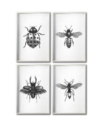 Cargar imagen en el visor de la galería, Set 4 Cuadros Decorativos Insectos 014 - Catarina, Escarabajo, Abeja, Avispa
