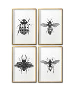 Cargar imagen en el visor de la galería, Cuadros Canvas de Insectos para sala en CDMX. Galería 314. Fauna blanco y negro.
