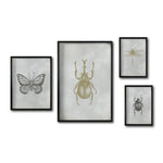 Cargar imagen en el visor de la galería, Set 4 Cuadros Decorativos Insectos 015 - Escarabajos, Mariposa, Libélula
