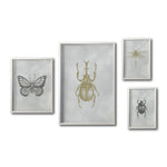 Cargar imagen en el visor de la galería, Set 4 Cuadros Decorativos Insectos 015 - Escarabajos, Mariposa, Libélula
