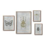 Cargar imagen en el visor de la galería, Set 4 Cuadros Decorativos Insectos 015 - Escarabajos, Mariposa, Libélula
