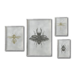 Cargar imagen en el visor de la galería, Set 4 Cuadros Decorativos Insectos 016 - Escarabajos, Abeja , Libélula
