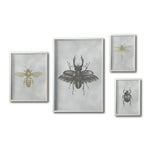 Cargar imagen en el visor de la galería, Set 4 Cuadros Decorativos Insectos 016 - Escarabajos, Abeja , Libélula
