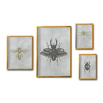 Cargar imagen en el visor de la galería, Compra cuadros online de Insectos para sala. Galería 314. Minimalismo.
