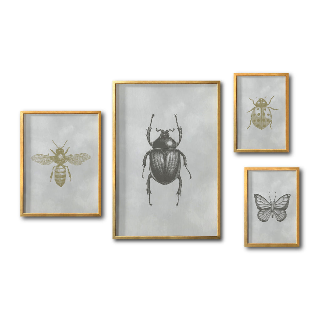 Cuadros animales para Sala, recámara y comedor. Fauna y Naturaleza. Arte decoración de interiores. Arte. Decoración Fauna. Escarabajo. Dorado.