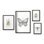 Cargar imagen en el visor de la galería, Set 4 Cuadros Decorativos Insectos 018 - Escarabajo, Mariposa, Catarina, Avispa
