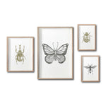 Cargar imagen en el visor de la galería, Set 4 Cuadros Decorativos Insectos 018 - Escarabajo, Mariposa, Catarina, Avispa
