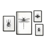 Cargar imagen en el visor de la galería, Set 4 Cuadros Decorativos Insectos 020 - Escarabajos, Libélula
