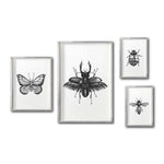 Cargar imagen en el visor de la galería, Set 4 Cuadros Decorativos Insectos 021 - Escarabajo, Mariposa, Catarina, Abeja
