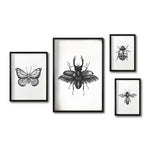 Cargar imagen en el visor de la galería, Set 4 Cuadros Decorativos Insectos 021 - Escarabajo, Mariposa, Catarina, Abeja
