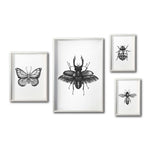 Cargar imagen en el visor de la galería, Set 4 Cuadros Decorativos Insectos 021 - Escarabajo, Mariposa, Catarina, Abeja
