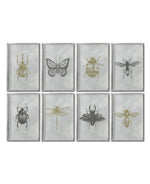 Cargar imagen en el visor de la galería, Set 8 Cuadros Decorativos Insectos 022 - Escarabajos, Mariposa, Libélula, Catarina, Abeja, Avispa
