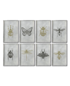 Set 8 Cuadros Decorativos Insectos 022 - Escarabajos, Mariposa, Libélula, Catarina, Abeja, Avispa